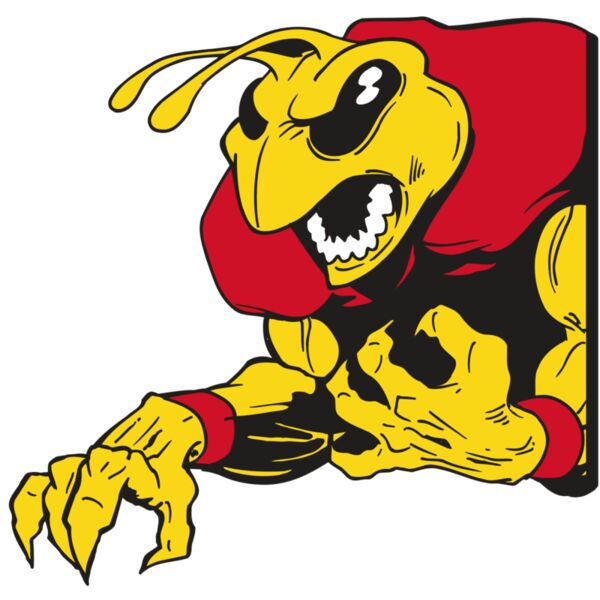 AR5 BEE 28 RQC Thumbnail