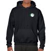 Heavy Blend Adult Hooded Sweatshirt Thumbnail
