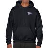 Heavy Blend Adult Hooded Sweatshirt Thumbnail