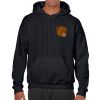 Heavy Blend Adult Hooded Sweatshirt Thumbnail