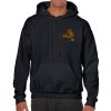 Heavy Blend Adult Hooded Sweatshirt Thumbnail