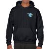 Heavy Blend Adult Hooded Sweatshirt Thumbnail