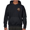 Heavy Blend Adult Hooded Sweatshirt Thumbnail