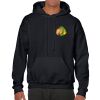 Heavy Blend Adult Hooded Sweatshirt Thumbnail