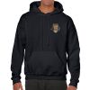 Heavy Blend Adult Hooded Sweatshirt Thumbnail