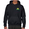 Heavy Blend Adult Hooded Sweatshirt Thumbnail