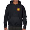 Heavy Blend Adult Hooded Sweatshirt Thumbnail