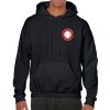 Heavy Blend Adult Hooded Sweatshirt Thumbnail