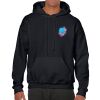 Heavy Blend Adult Hooded Sweatshirt Thumbnail