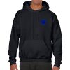 Heavy Blend Adult Hooded Sweatshirt Thumbnail