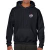 Heavy Blend Adult Hooded Sweatshirt Thumbnail