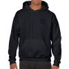 Heavy Blend Adult Hooded Sweatshirt Thumbnail