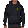 Heavy Blend Adult Hooded Sweatshirt Thumbnail