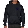 Heavy Blend Adult Hooded Sweatshirt Thumbnail