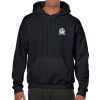 Heavy Blend Adult Hooded Sweatshirt Thumbnail