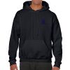 Heavy Blend Adult Hooded Sweatshirt Thumbnail