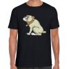 Softstyle Adult Short Sleeve T-Shirt Thumbnail