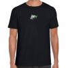 Softstyle Adult Short Sleeve T-Shirt Thumbnail