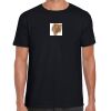 Softstyle Adult Short Sleeve T-Shirt Thumbnail