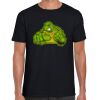 Softstyle Adult Short Sleeve T-Shirt Thumbnail