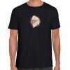Softstyle Adult Short Sleeve T-Shirt Thumbnail