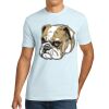 Apparel ® Unisex Cotton Tee Thumbnail