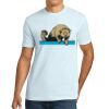 Apparel ® Unisex Cotton Tee Thumbnail