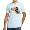 Apparel ® Unisex Cotton Tee Thumbnail