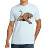 Apparel ® Unisex Cotton Tee Thumbnail