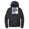 Heavy Blend Hooded Sweatshirt Thumbnail