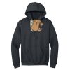 Heavy Blend Hooded Sweatshirt Thumbnail
